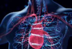 Scientists Discover Human Gene That Helps the Heart Repair Itself After Failure
