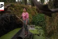 Preserving a Living Legacy: Mexicans Protect Ancient Aztec Floating Farms